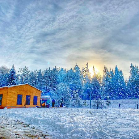 Hotel Eco House In Bakuriani Dış mekan fotoğraf