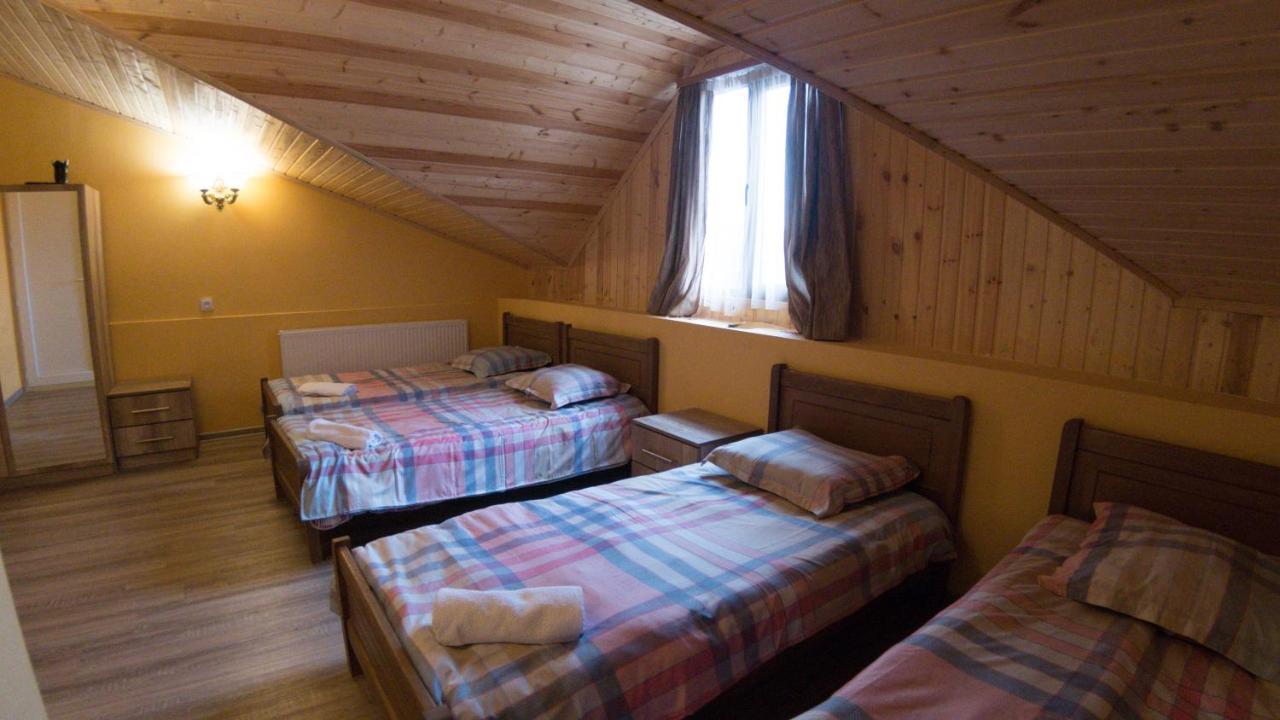 Hotel Eco House In Bakuriani Dış mekan fotoğraf