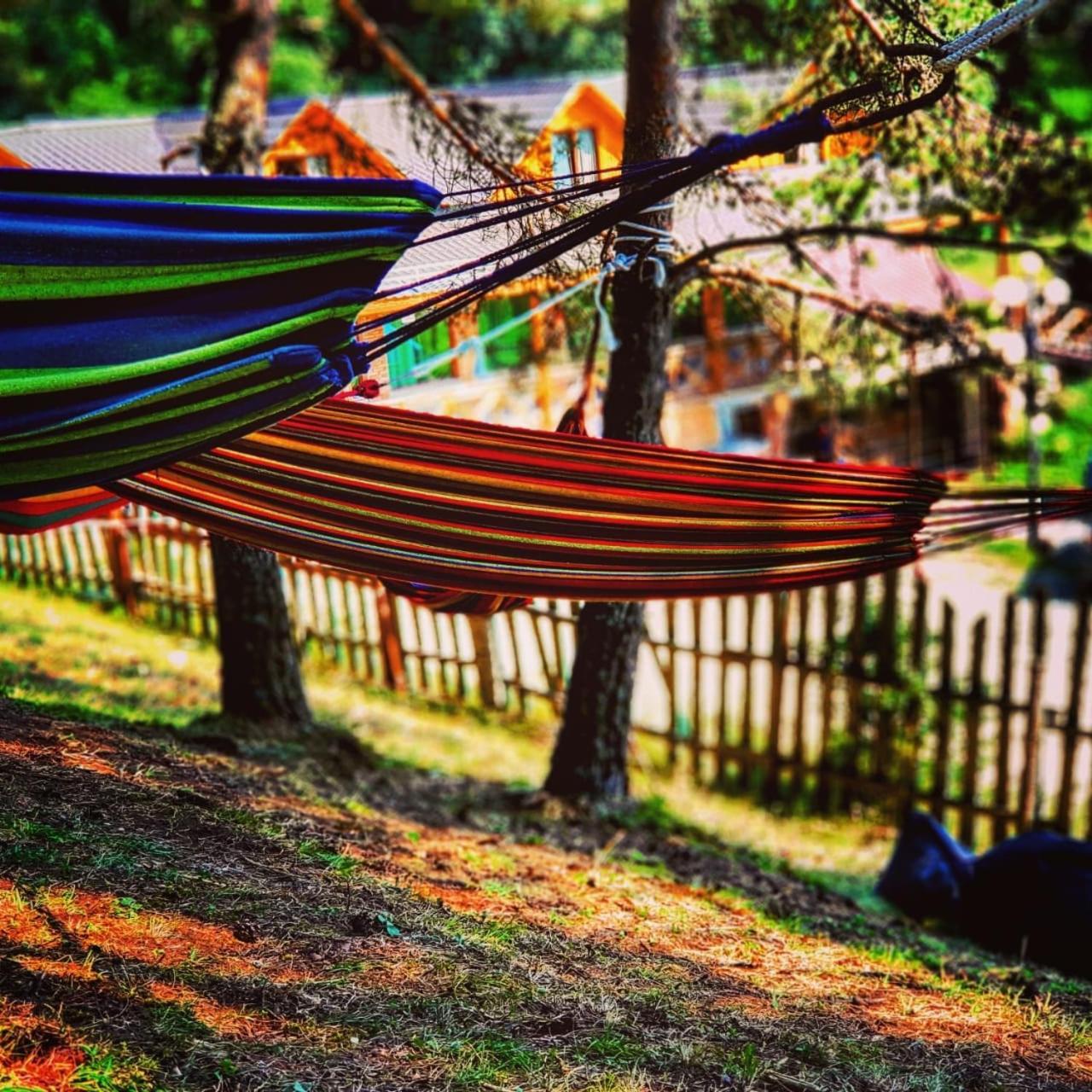 Hotel Eco House In Bakuriani Dış mekan fotoğraf