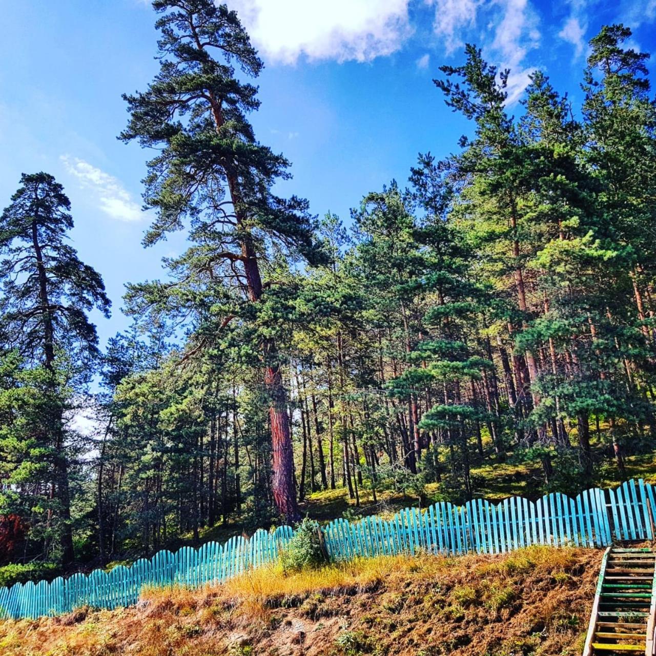 Hotel Eco House In Bakuriani Dış mekan fotoğraf