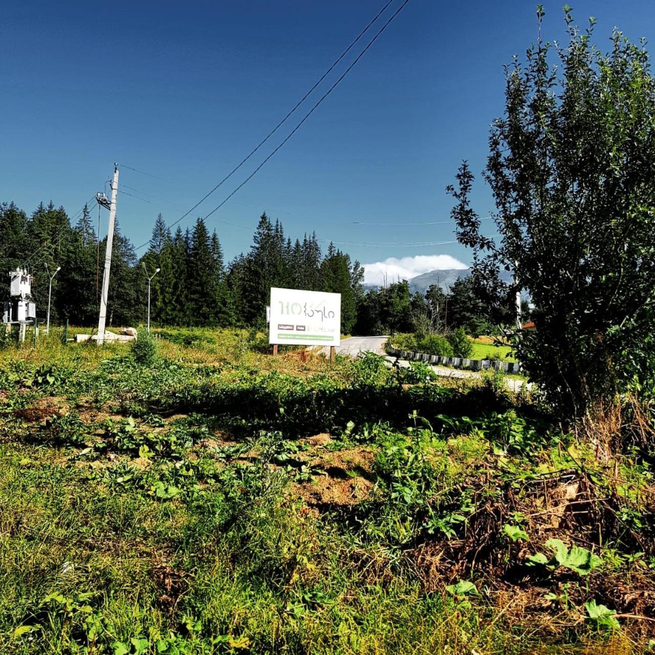 Hotel Eco House In Bakuriani Dış mekan fotoğraf