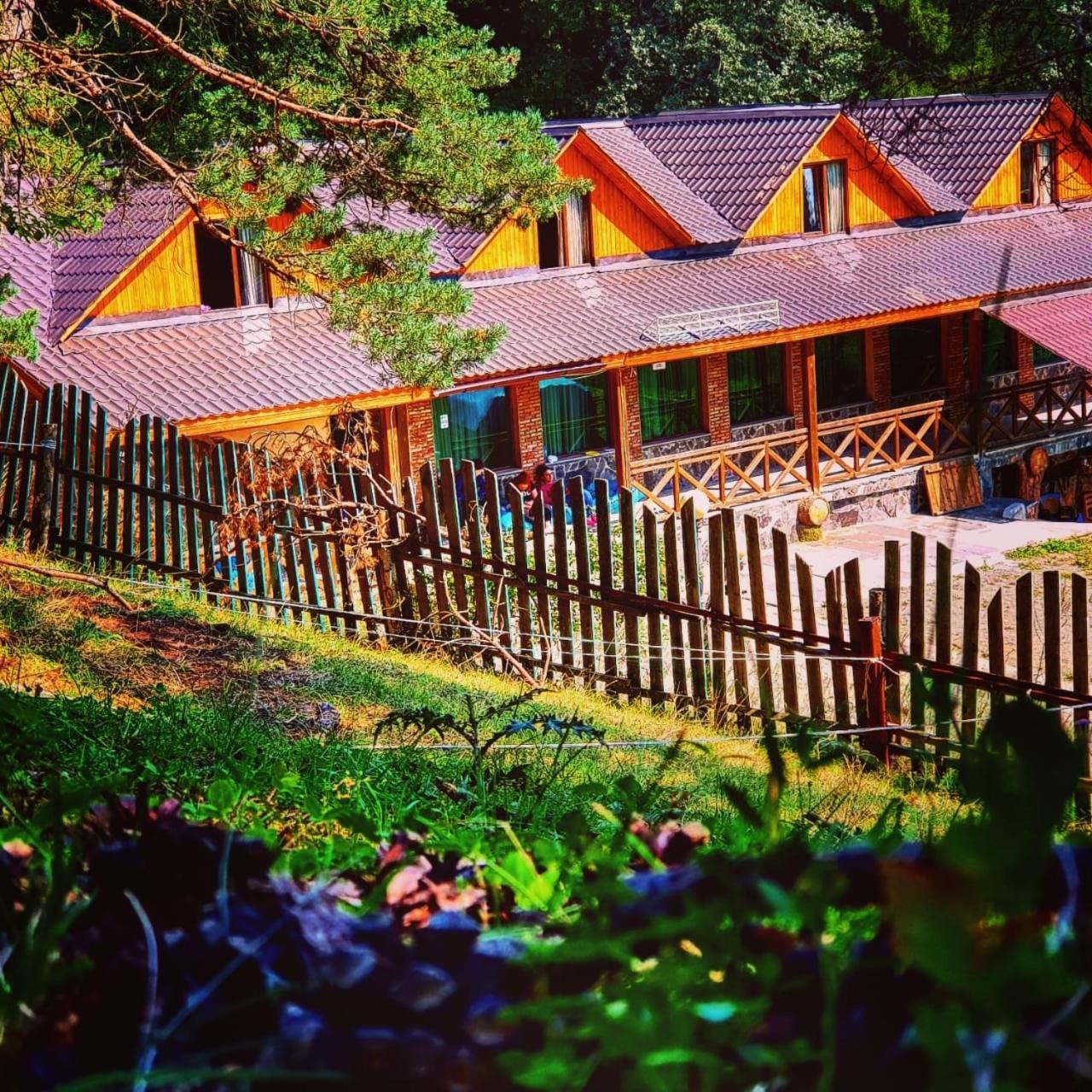 Hotel Eco House In Bakuriani Dış mekan fotoğraf