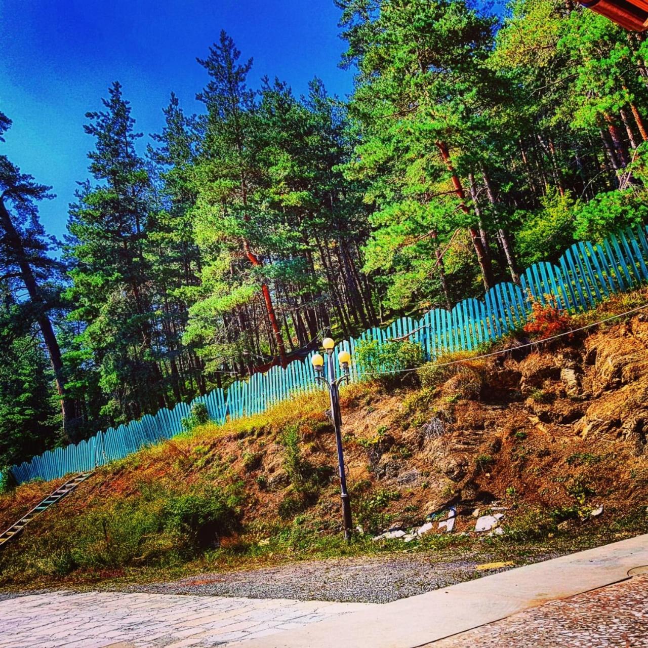 Hotel Eco House In Bakuriani Dış mekan fotoğraf