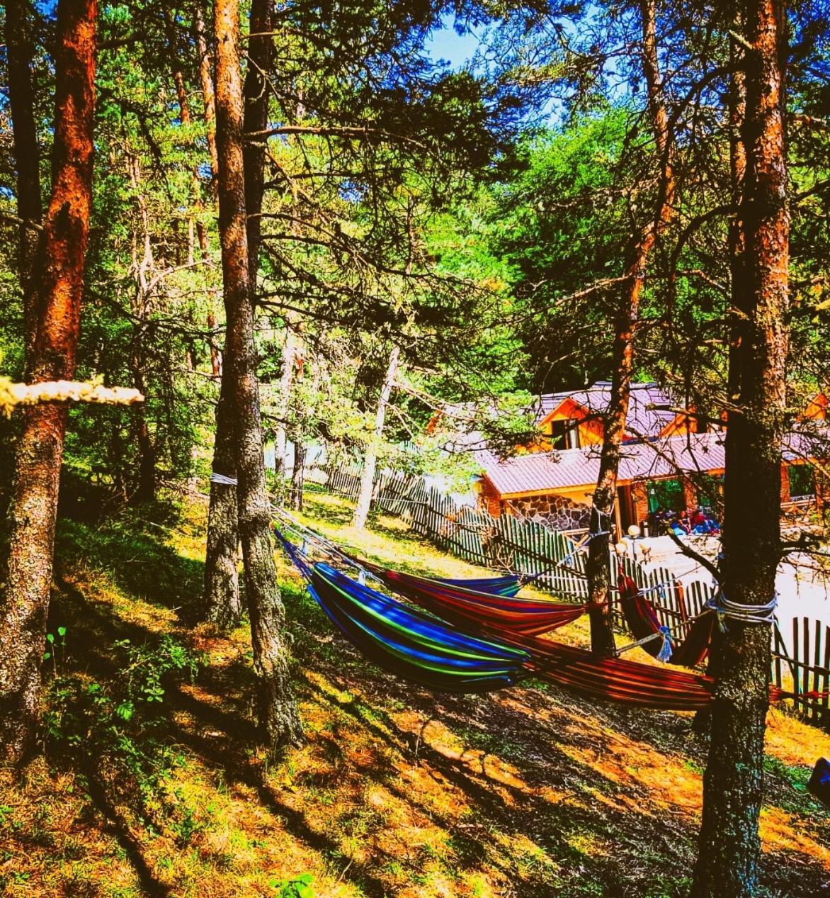 Hotel Eco House In Bakuriani Dış mekan fotoğraf