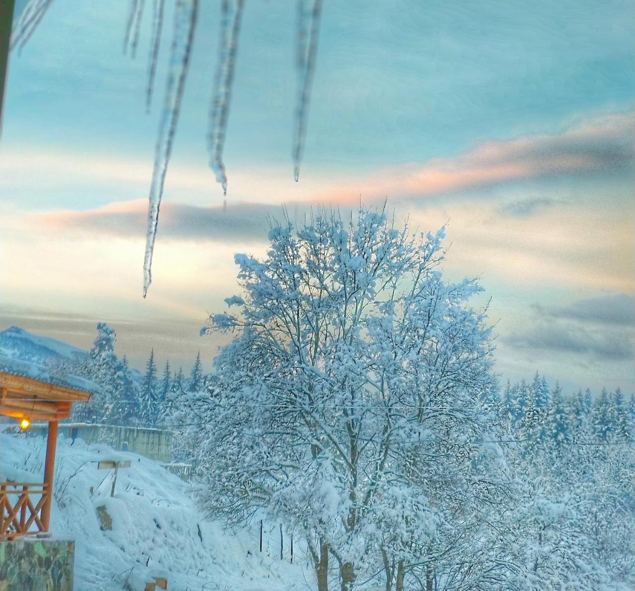 Hotel Eco House In Bakuriani Dış mekan fotoğraf