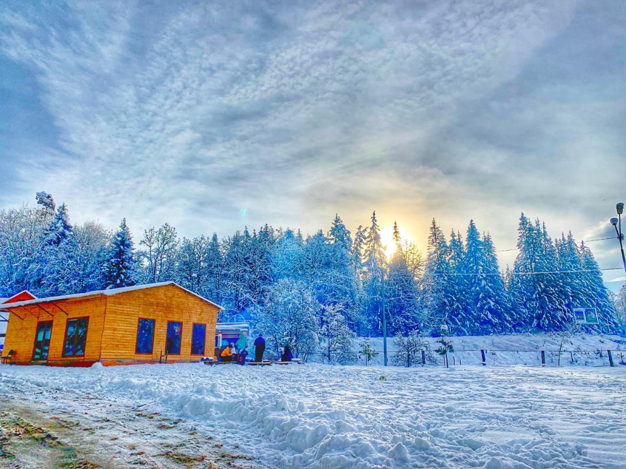 Hotel Eco House In Bakuriani Dış mekan fotoğraf