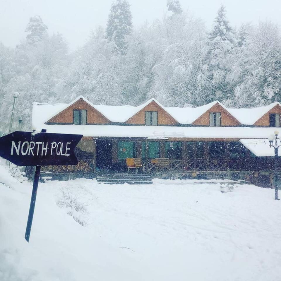 Hotel Eco House In Bakuriani Dış mekan fotoğraf