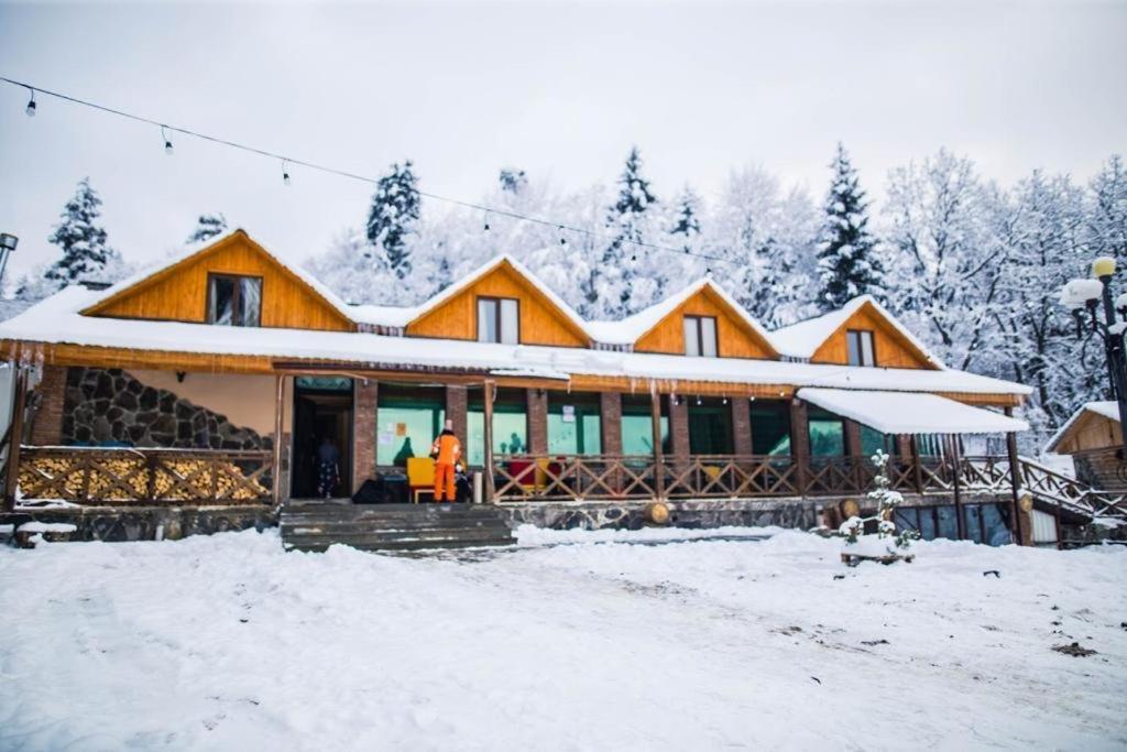 Hotel Eco House In Bakuriani Dış mekan fotoğraf