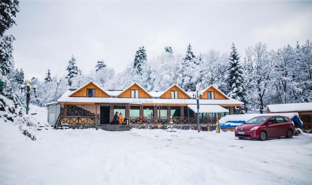 Hotel Eco House In Bakuriani Dış mekan fotoğraf
