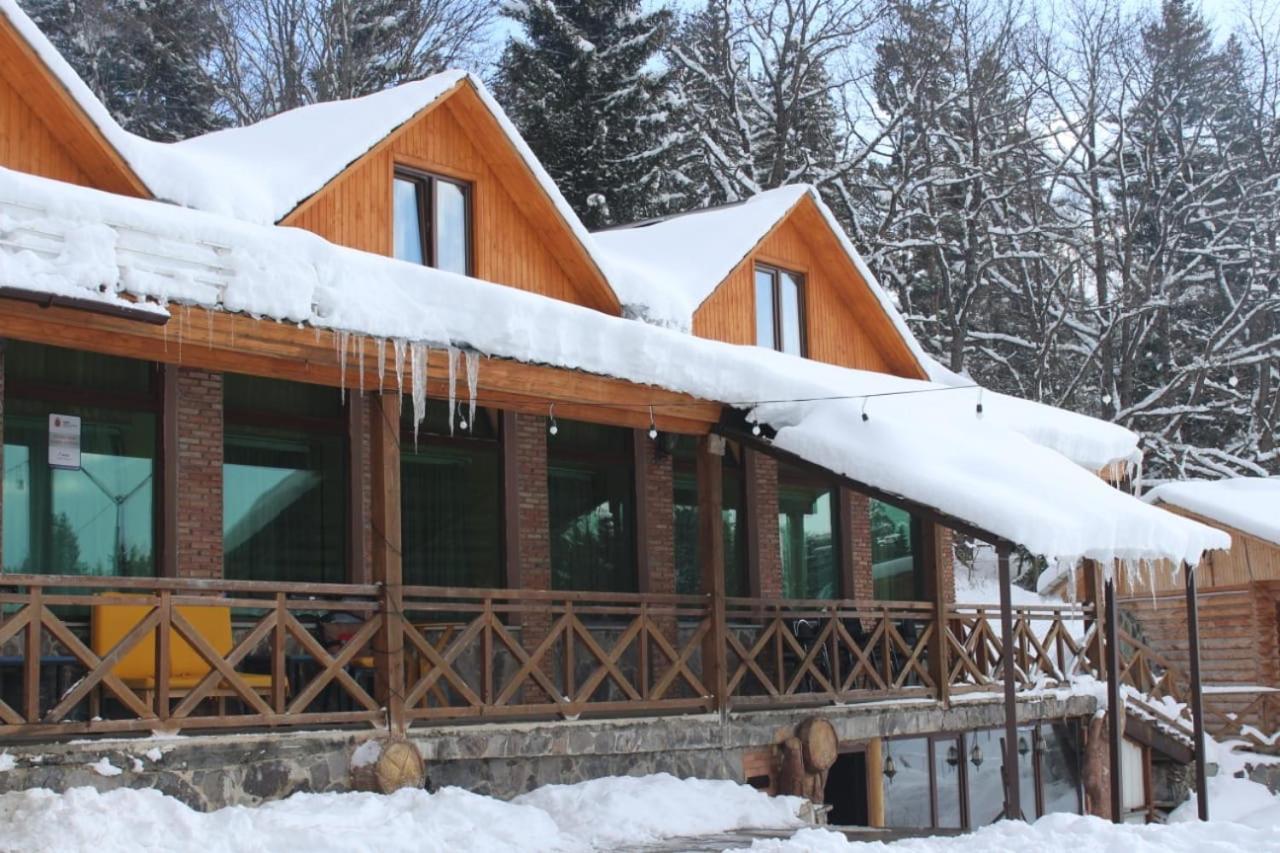 Hotel Eco House In Bakuriani Dış mekan fotoğraf